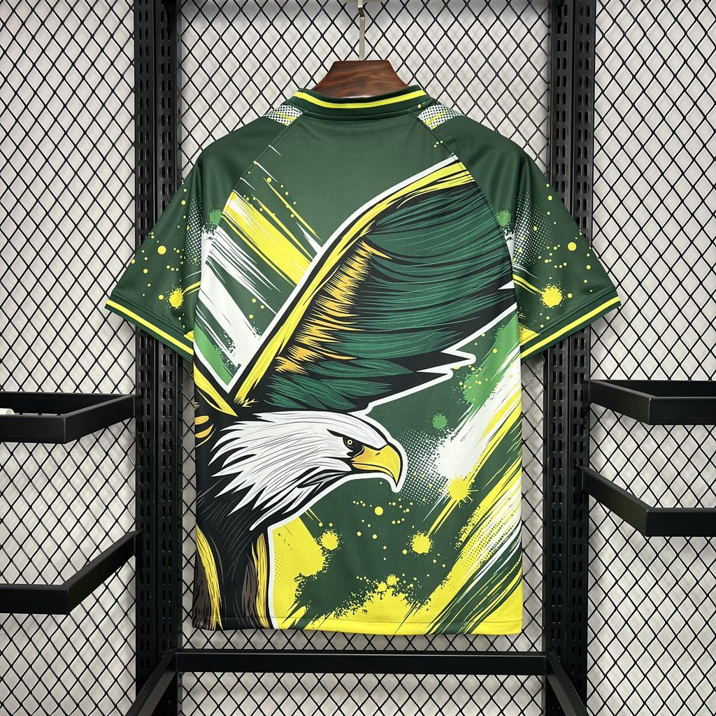 Brazil 2024/25 Special Eagle Jersey