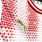PSV Eindhoven 2025/26 Special Jersey