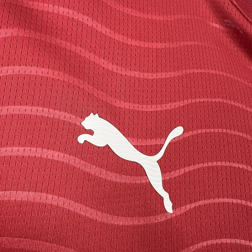 Portugal 2026 World Cup Home Long sleeves Jeresy