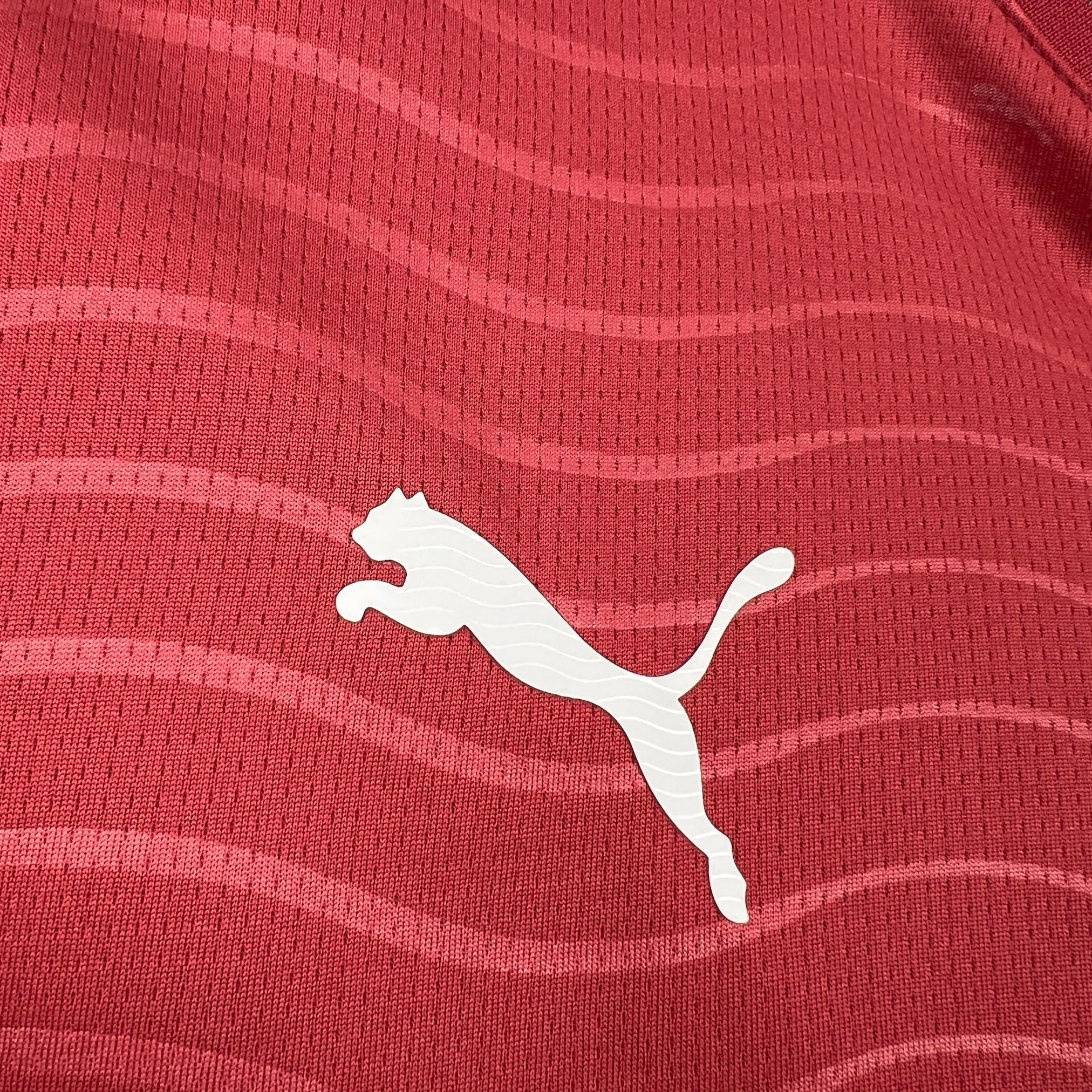 Portugal 2026 World Cup Home Long sleeves Jeresy