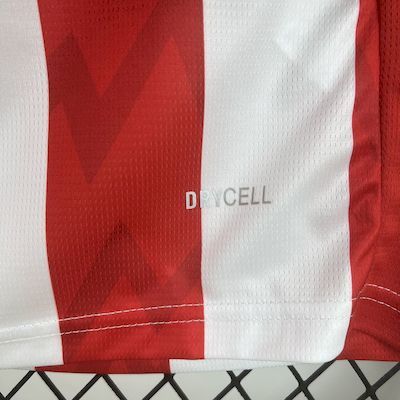 PSV Eindhoven 2025/26 Home Jersey