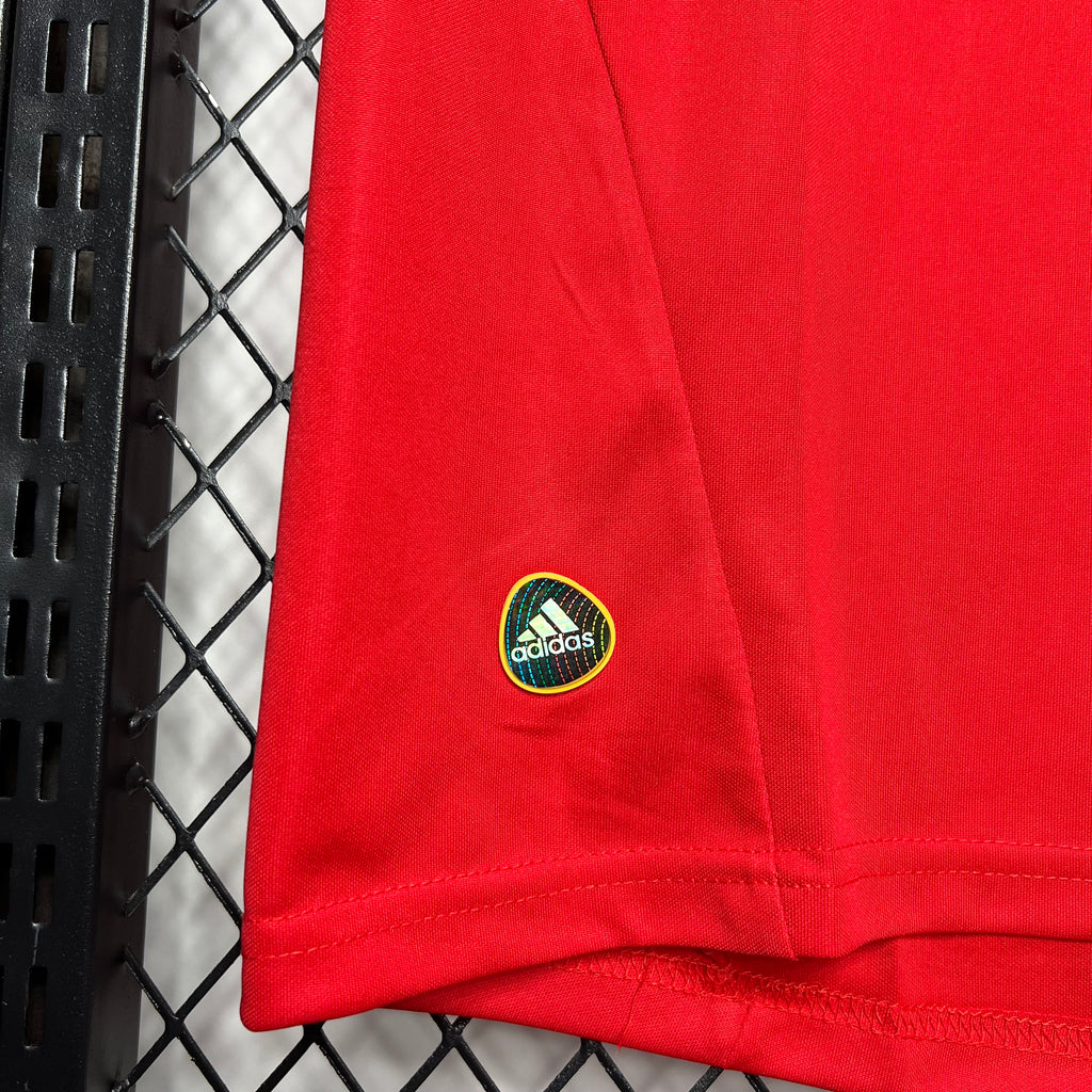 Spain 2010 Home Retro Jersey
